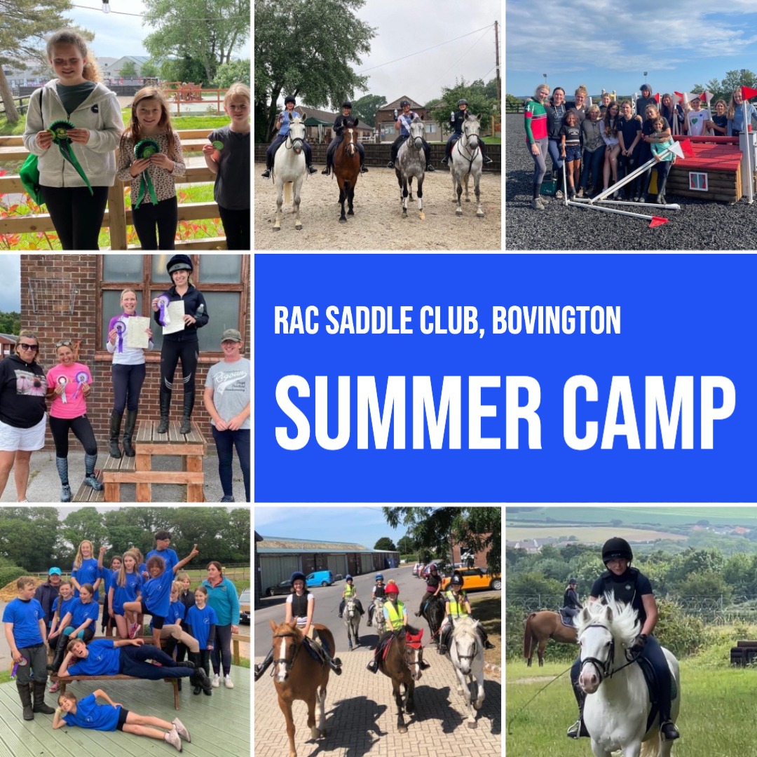 Summer Camps at RAC Saddle Club